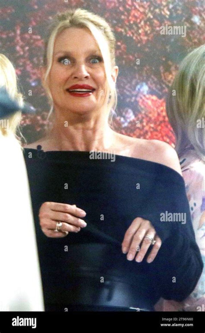 Nicollette Sheridan 2024: A Comprehensive Look into Her Life and Career