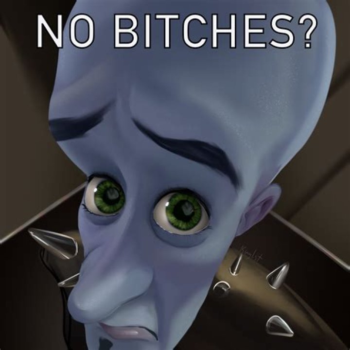 No Bitches Megamind: The Cultural Phenomenon Explored