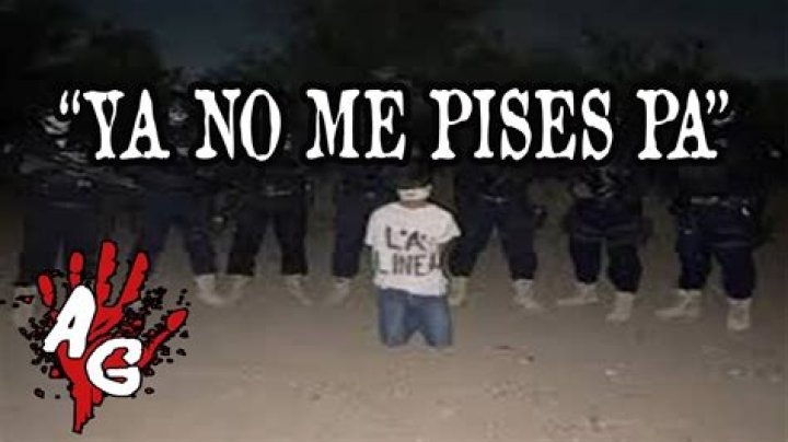 Discovering the Essence of "No Me Pises Pa"