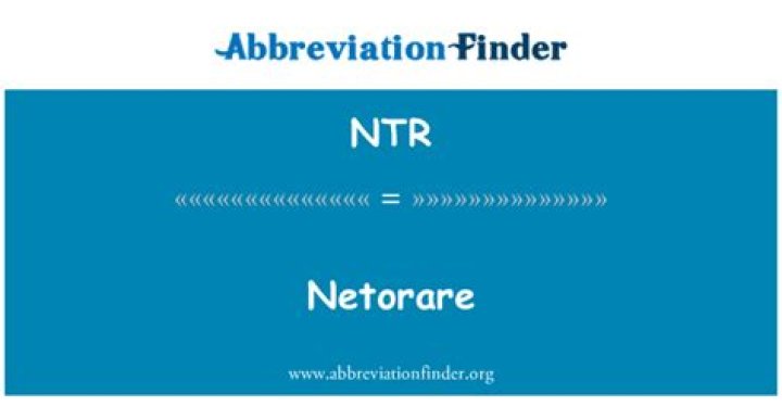 NTR Meaning in English: A Comprehensive Guide to Understanding and Utilizing This Term