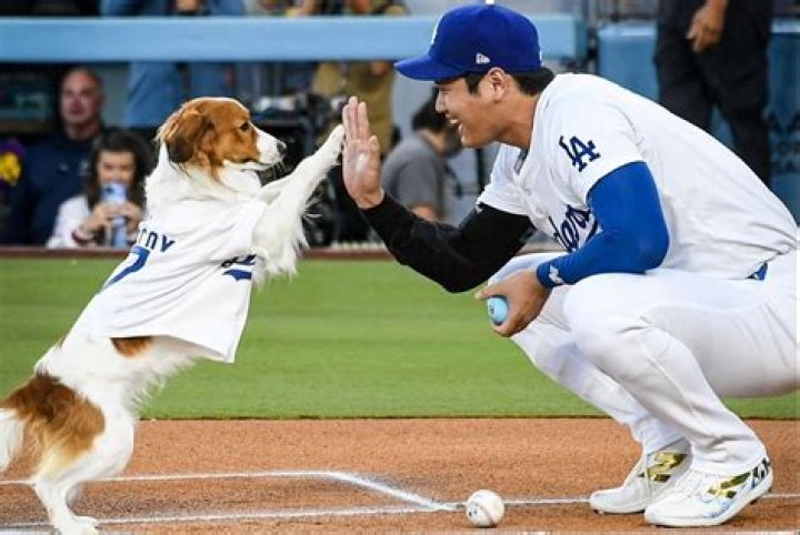 Discovering Ohtani's Height: The Marvel of a Modern Baseball Phenomenon