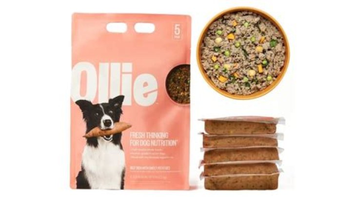 Ollie Dog Food: A Comprehensive Guide to Premium Canine Nutrition