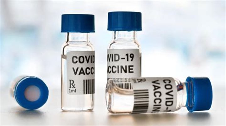 Only My Vaccine Can Save the World from Zombies: The Ultimate Guide