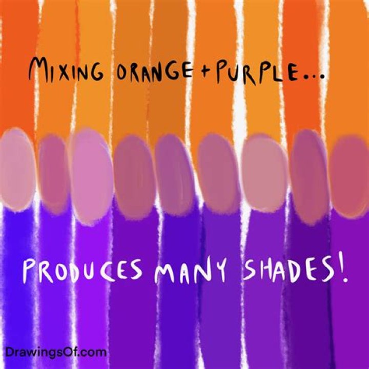 Discovering the Magic of Color: What Do Orange and Purple Make?