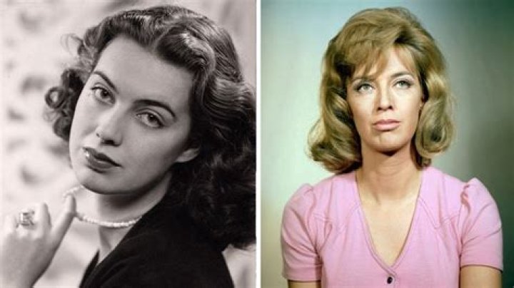 Patricia Haines Cause of Death: Unraveling the Mystery Behind the Actress's Untimely Demise