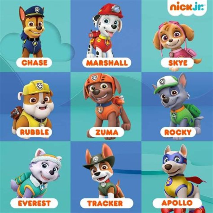 Paw Patrol Characters: Meet the Team of Heroic Pups!