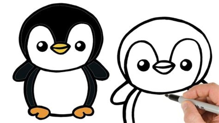 How to Create Stunning Penguin Drawings: A Comprehensive Guide