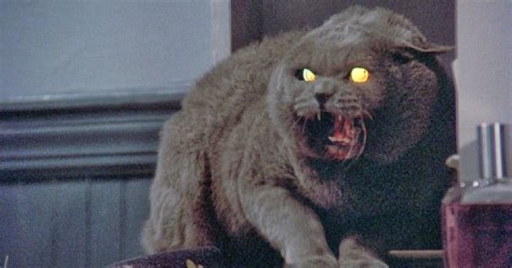 Pet Sematary Church: A Terrifying Journey Into Stephen King's Creations