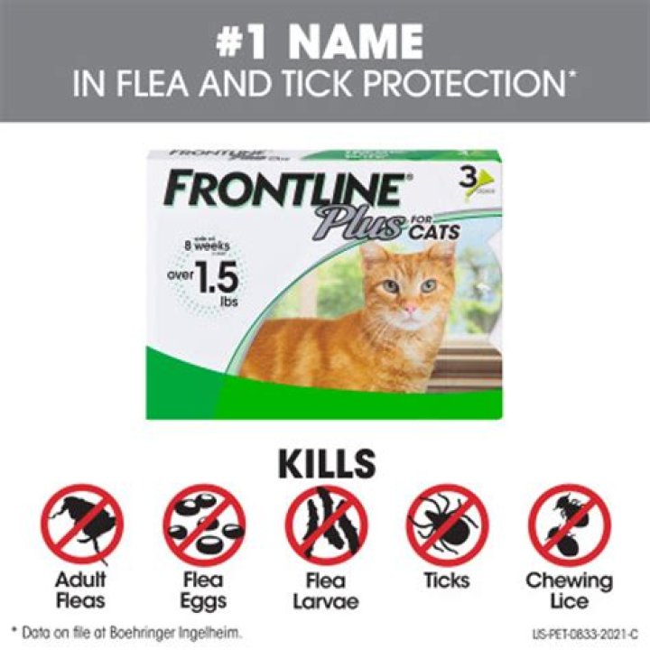 Petco Flea Medicine: The Ultimate Guide to Protecting Your Pets