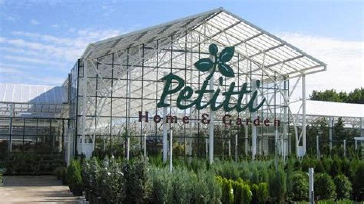 Discovering Petitis Garden Center: Your Ultimate Guide to Gardening Excellence