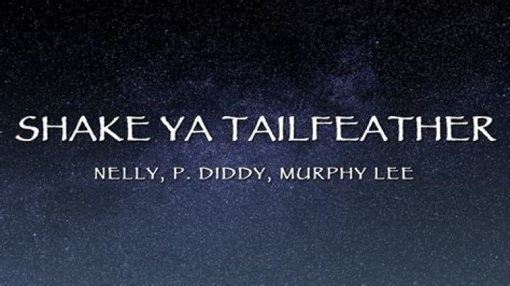 The Impactful Legacy of "Piddy feat Nelly Murphy Lee - Shake Ya Tailfeather"
