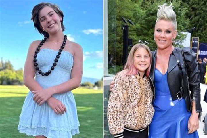 Pink's Daughter Willow: A Deep Dive into Her Life and Journey