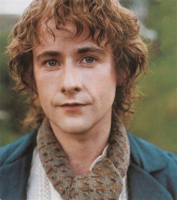 Pippin Actor: Unveiling the Charismatic Performers Behind the Iconic Role