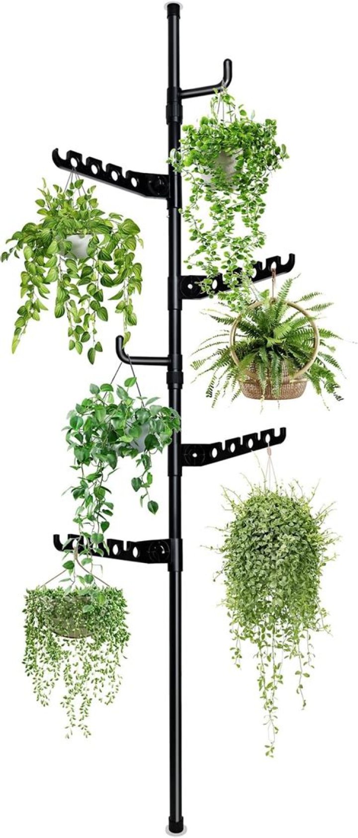 Discovering the Versatility of Plant Tension Rod Poles