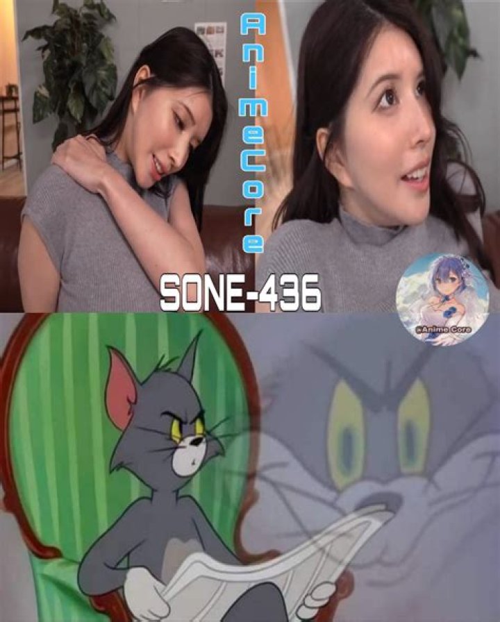 Plot Sone 436: A Comprehensive Guide to Understanding Its Intricacies