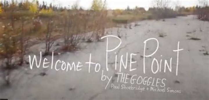 Understanding Point Pine: A Comprehensive Guide