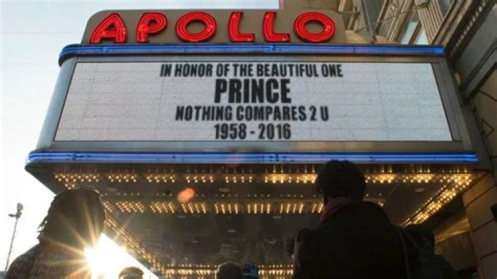 Reflections on the Prince's Death: A Legacy Remembered