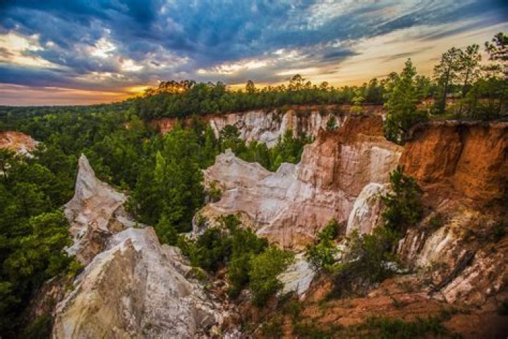 Explore the Natural Wonders of Providence Canyon State Park
