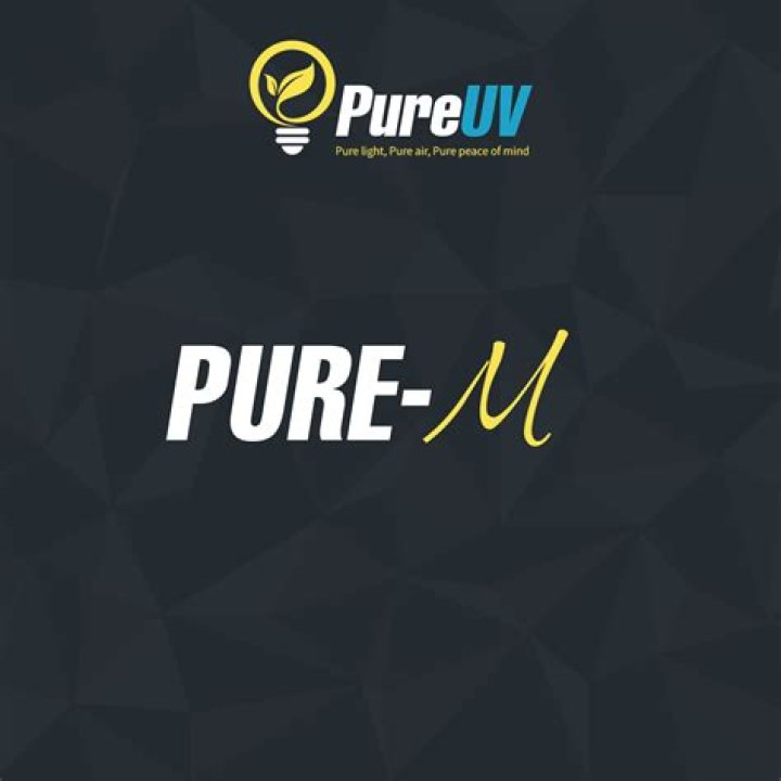 Pure M: Understanding the Essence of Mindfulness and Its Benefits