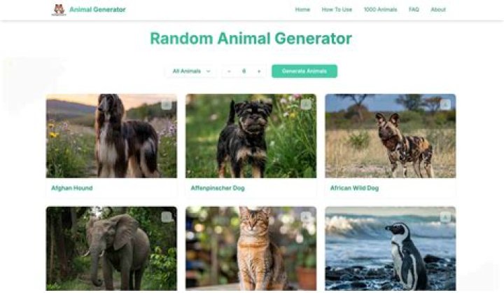 Random Animal Generator: Discovering the Wonders of Wildlife