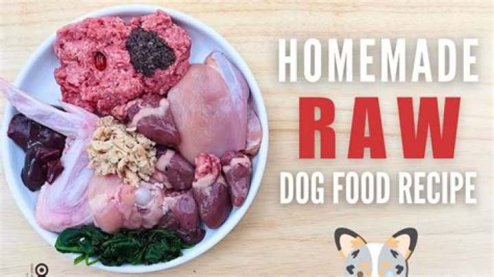 Unraveling the Meaning of "Raw Dog It": A Deep Dive