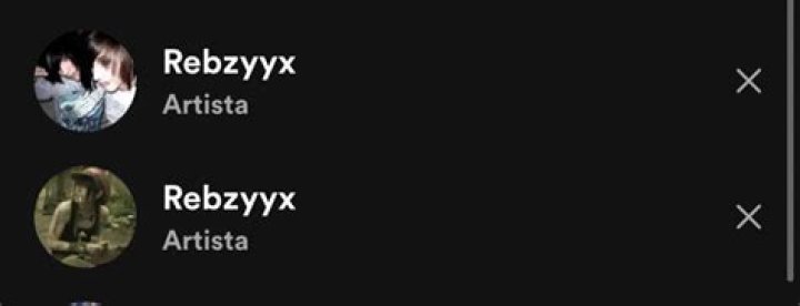 Understanding the Rebzyyx Problematic: A Comprehensive Analysis