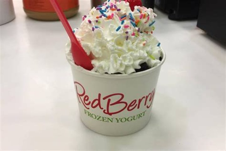 Discovering the Delight of Redberry Frozen Yogurt: A Comprehensive Guide