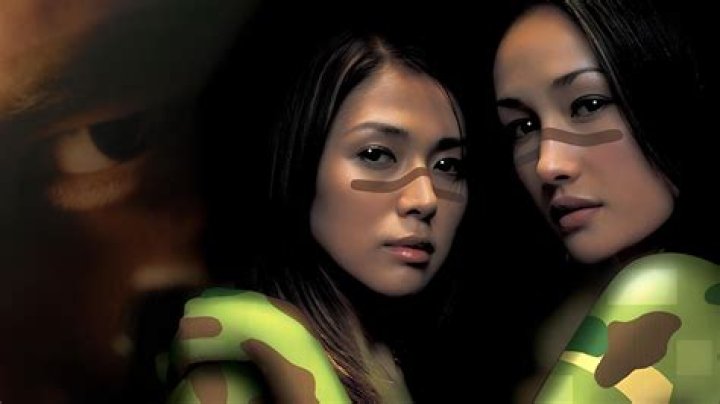 Renee Nichole Rommeswinkel: A Comprehensive Insight into Her Life and Career