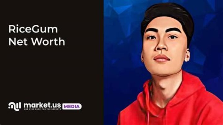 Ricegum Net Worth: Exploring the Wealth and Success of a Gaming Icon