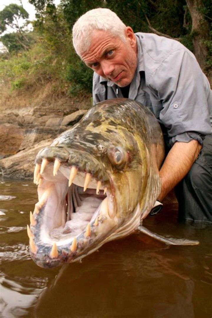 River Monsters: Exploring the Depths of Nature's Mysterious Creatures