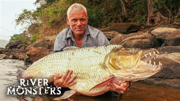 River Monsters: Unveiling the Mysteries of Creatures Lurking Beneath the Water