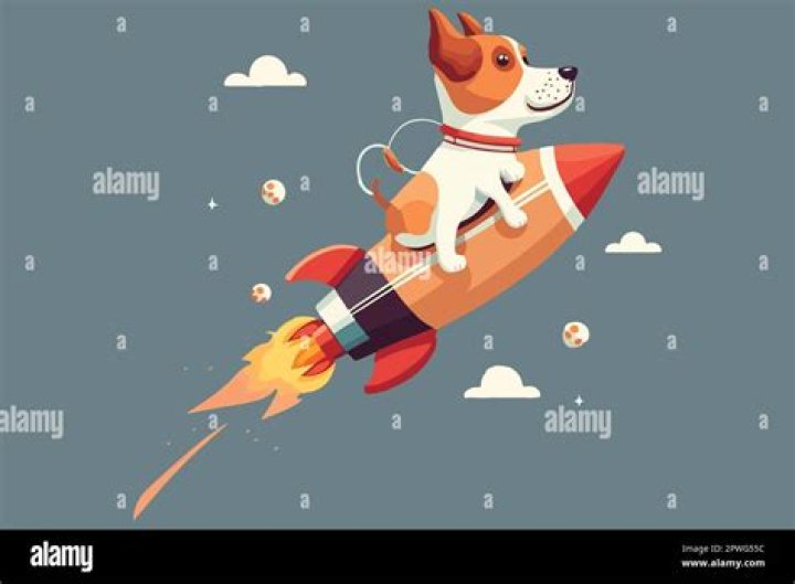 Discover the World of Rocket Dog: A Unique Journey