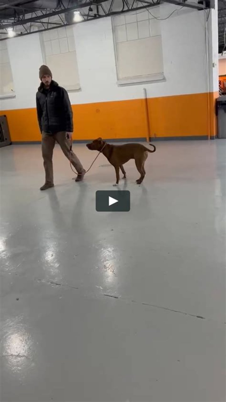 Unlocking the Mysteries of Roman Recall: A Journey Through History