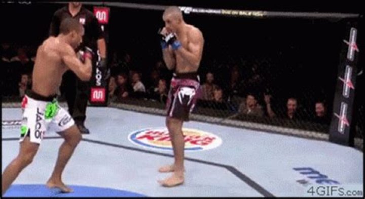 Ultimate Guide to Roundhouse Kick GIFs: Techniques, Uses, and More