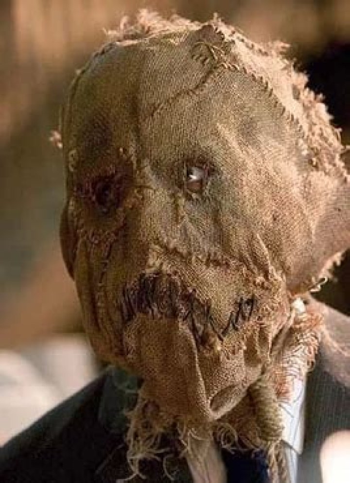 Unearthing the Mystique: Scarecrow Cillian Murphy