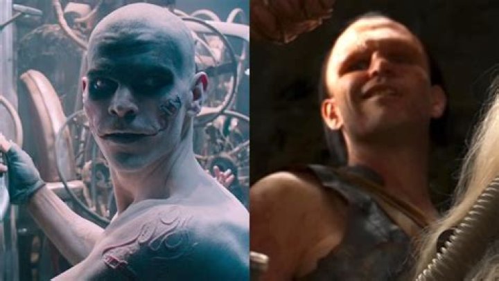 Scrotus Furiosa: The Ultimate Guide to This Unique Creature