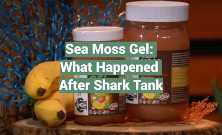 Exploring the Buzz Around Sea Moss Gel Shark Tank: A Superfood Revolution