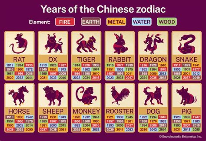 Secrets of the 1987 Chinese Zodiac Year: A Zodiacal Odyssey