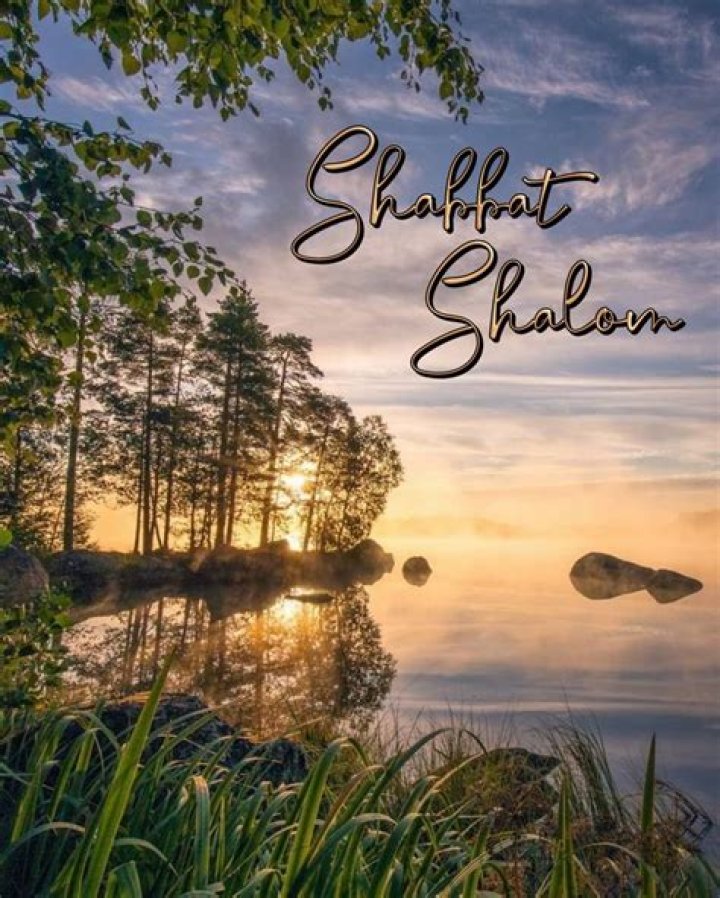 Shalom from the Shahs of Sunset: An Exclusive Interview