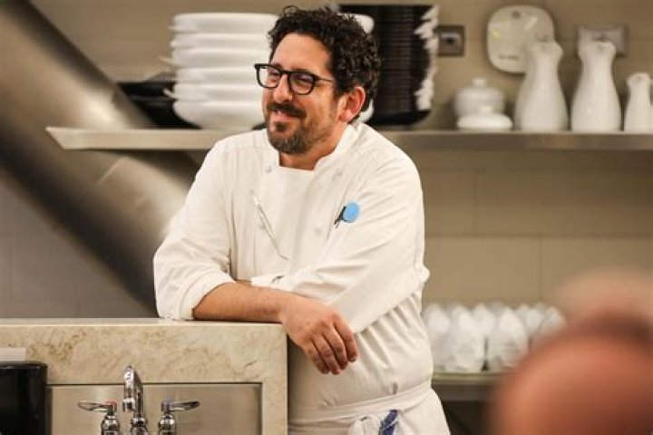 Shapiro the Bear: The Adorable Journey of a Social Media Sensation