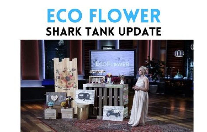 Shark Tank Eco Mower: Revolutionizing Sustainable Lawn Care