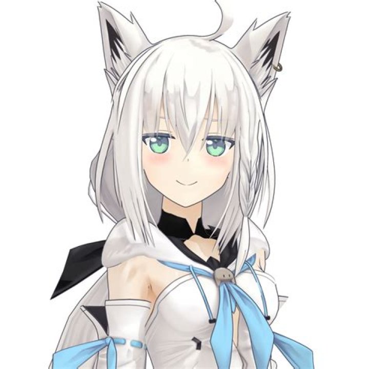 Shirakami Fubuki Past Life: Unraveling the Mysteries of a Virtual Idol