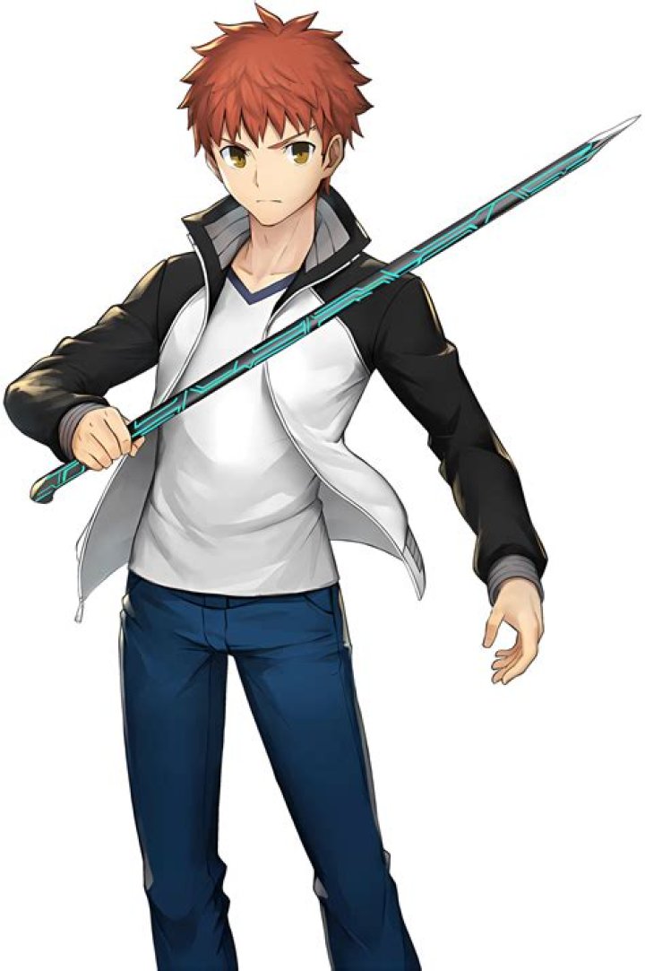 Shirou Emiya: The Heroic Spirit of Fate/Stay Night