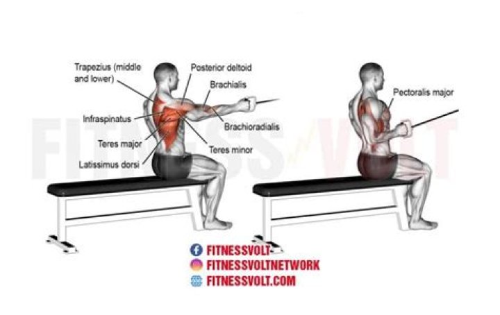 Mastering Single Arm Cable Rows: The Ultimate Guide to Perfecting Your Technique