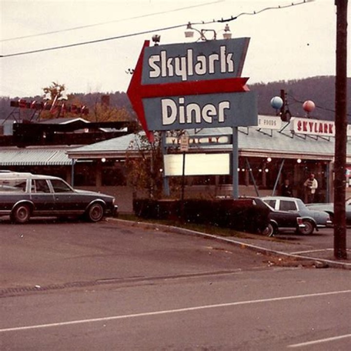 Exploring the Skylark Diner: A Culinary Gem