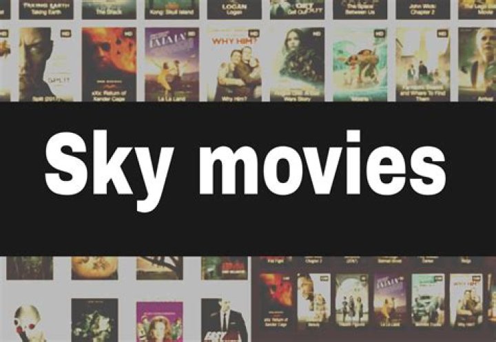 SkymoviesHD.in 2024: The Ultimate Guide to Streaming Movies Online