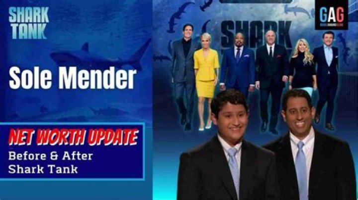 Unraveling the Financial Landscape: Analyzing Solemender&rsquo;s Net Worth