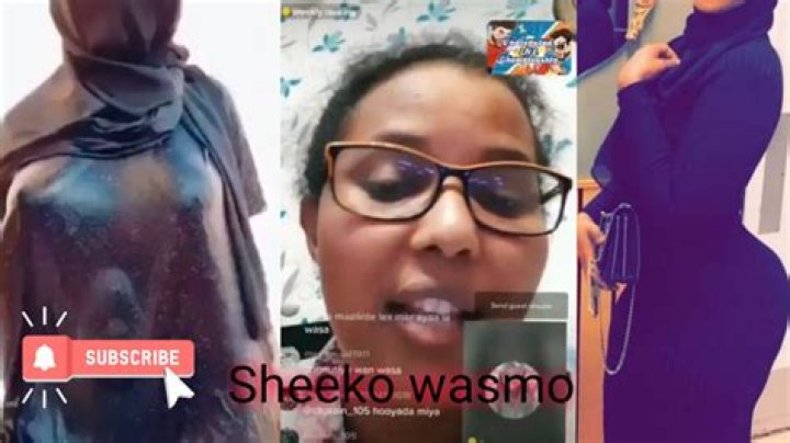 Somali Wasmo Sheeko: A Deep Dive Into the Cultural Phenomenon Taking the World by Storm