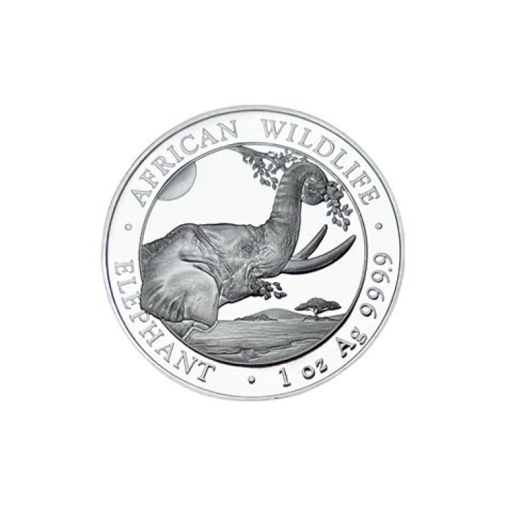 Somali Wasmo VIP Telegram 2025: The Ultimate Guide to Trending Content