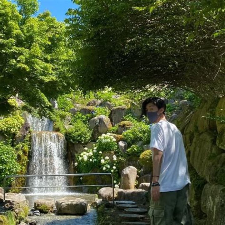 Sone 385 Japan: Exploring the Iconic Railway Experience